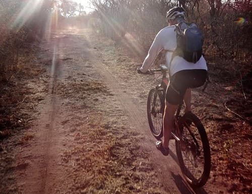 A cyclist riding along a sunlit dirt path lined with trees