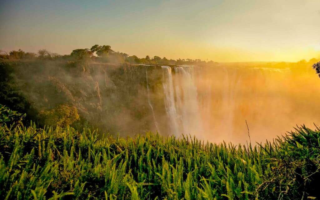 Victoria Falls plunging into a deep gorge at sunset, framed by lush green ferns in the foreground