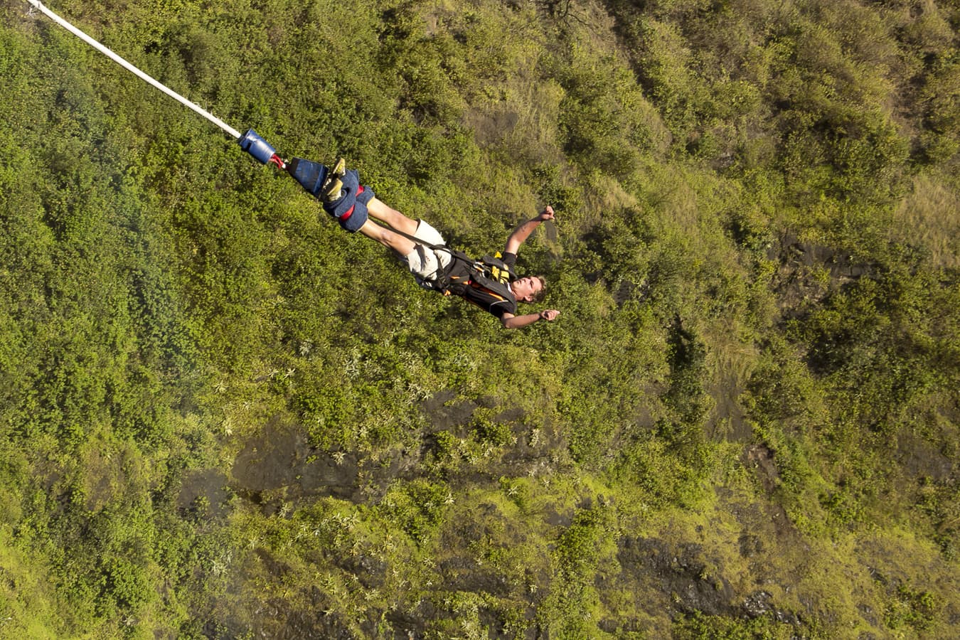 Bungee Jumping & Gorge Swing - Image 1