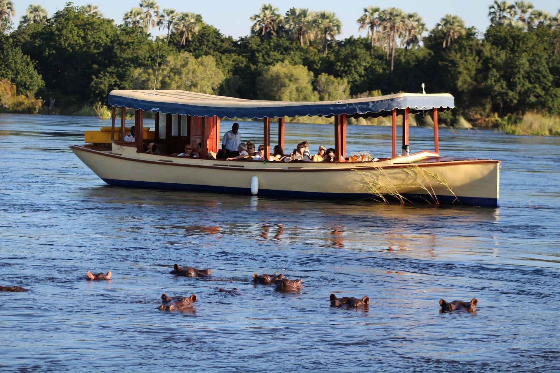 Cruises on the Zambezi River - Image 2