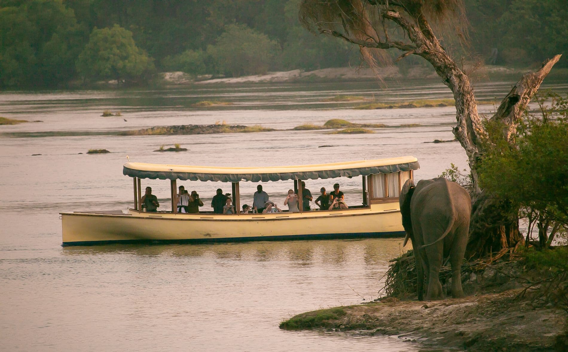 Cruises on the Zambezi River - Image 3